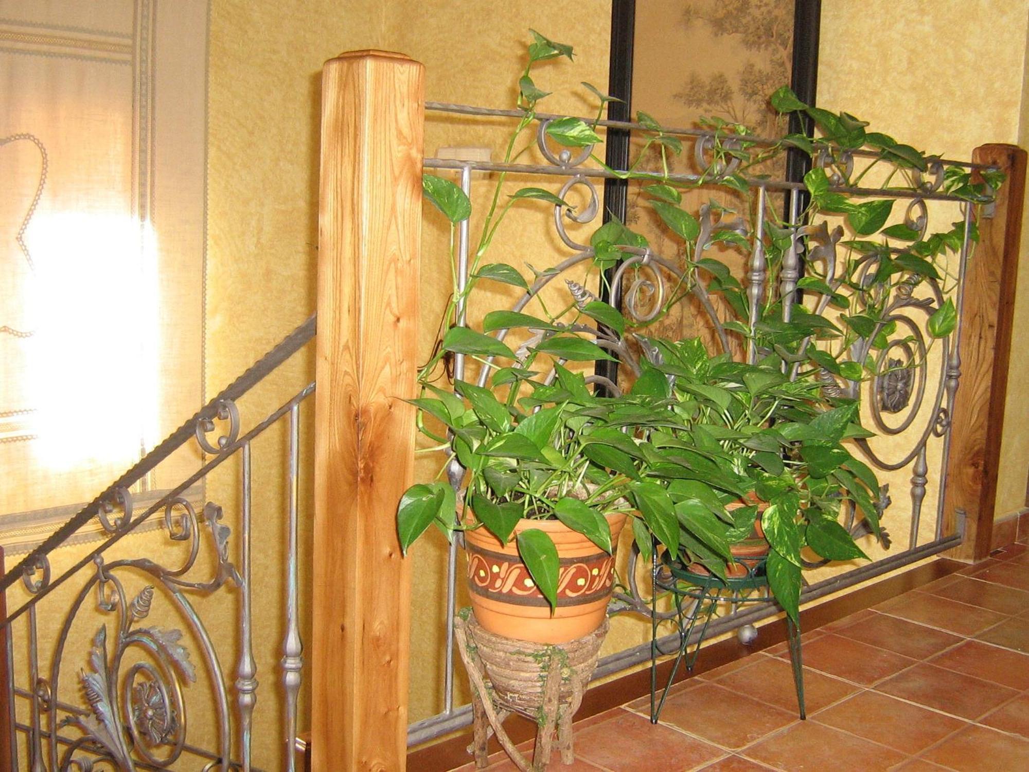 Hotel Rural El Museo Cedillo de la Torre Екстер'єр фото